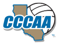  Men's Volleyball Icon 
